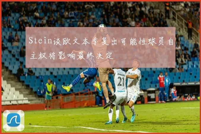 Stein谈欧文本季复出可能性球员自主权将影响最终决定